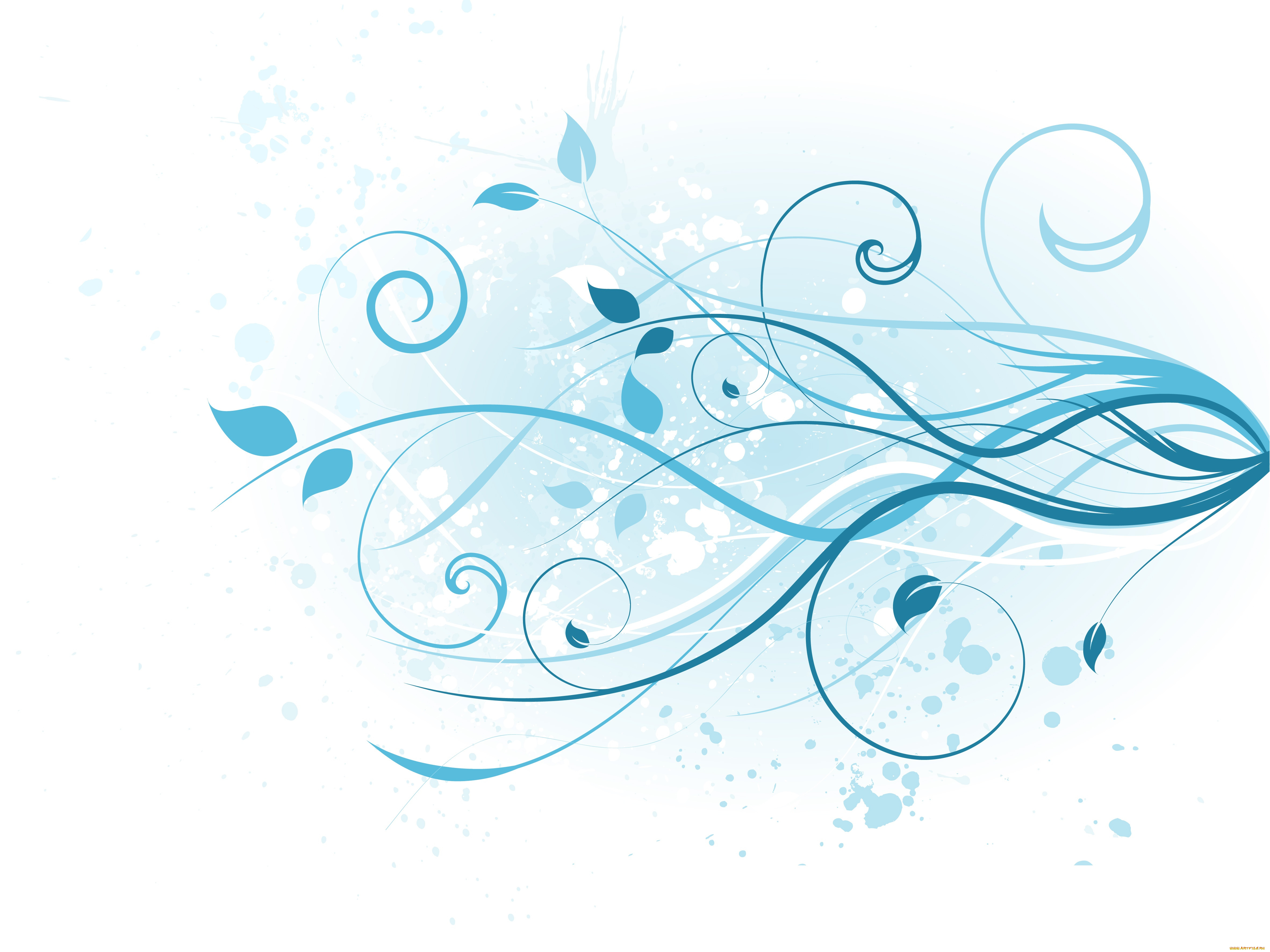  ,  , nature, design, blue, floral, background